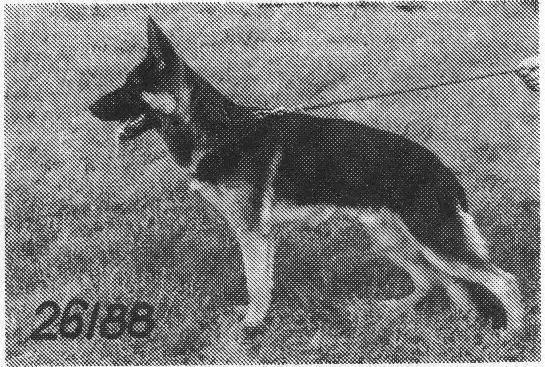 V Quai vom blauen Modeneser