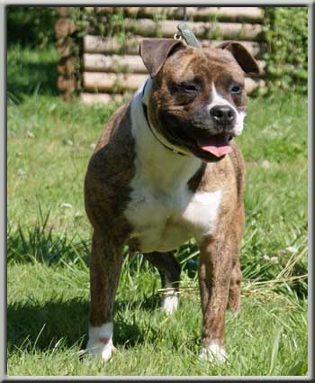 Cayli De la crique du Flojule