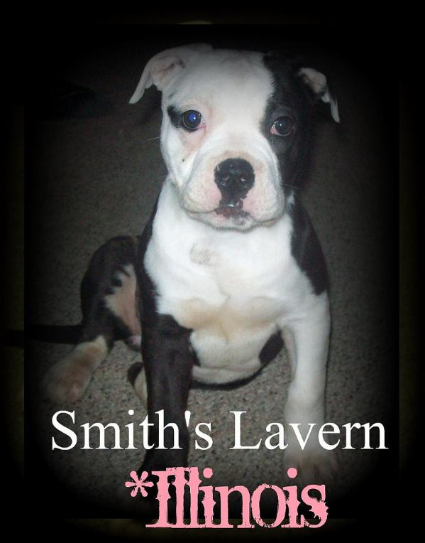 Smith's Lavern