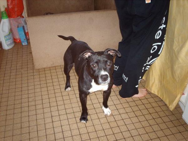 Venti d'Emozioni Breizh