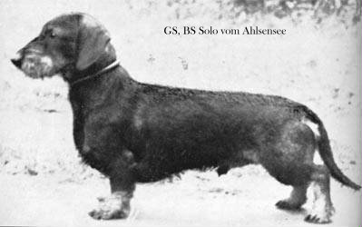 GS'67, BS'67 Solo vom Ahlsensee