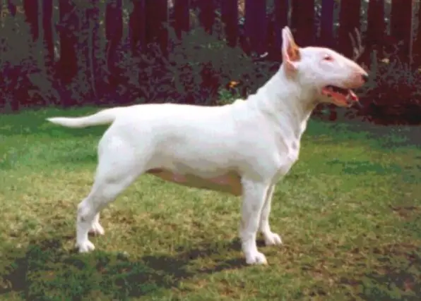 Kilcabar Kast A Spell