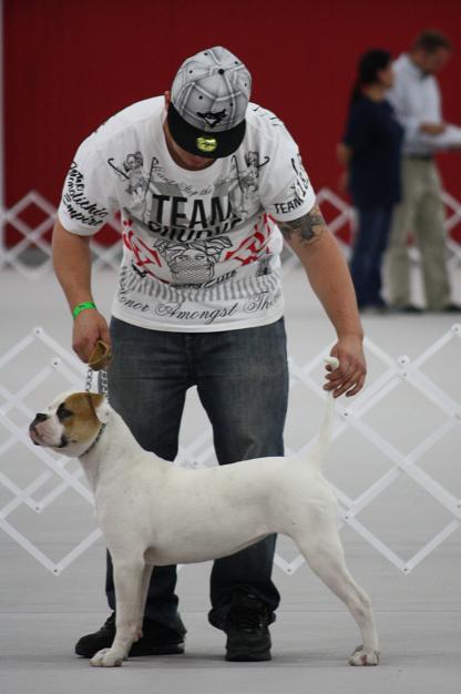 Fastlane's Calypso of Sauga City