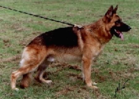 CH (UK) Chanask Edison