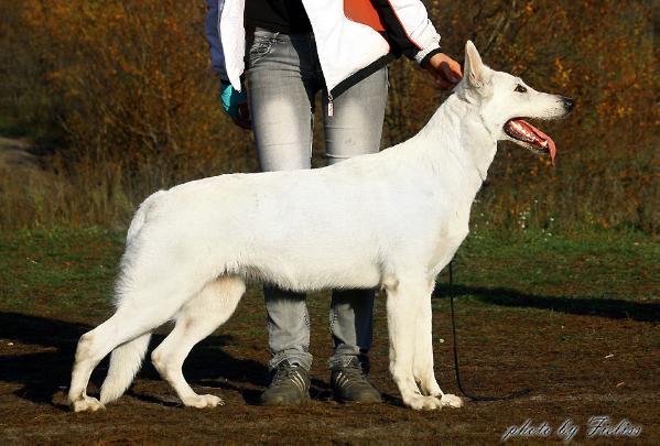 Fieliss Doriana Djein Agacha