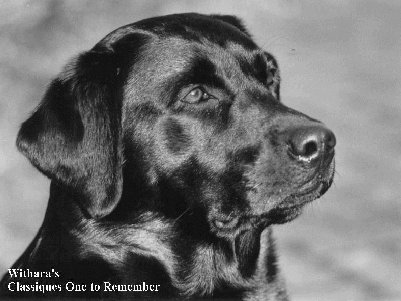 Withara's Classique One to Remember
