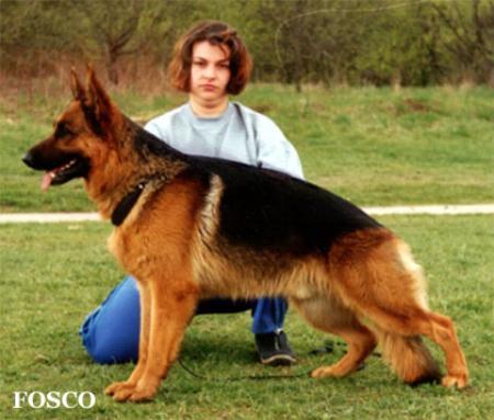 V Gando von der Holzheimer Linde