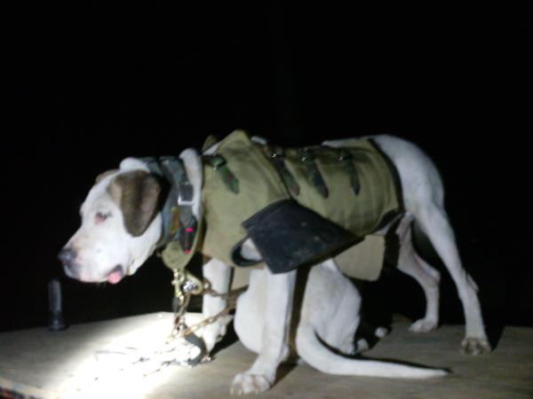 Garcia's RELOAD (Catch Dog)