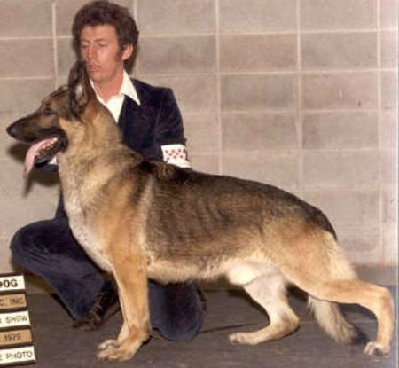 Ch Tanbark's Dream Weaver