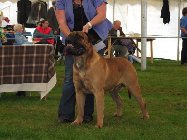 Braeaaron he means business at ardhub