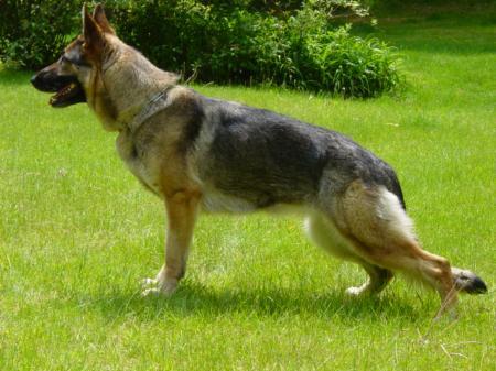 V Manta vom Rheinland