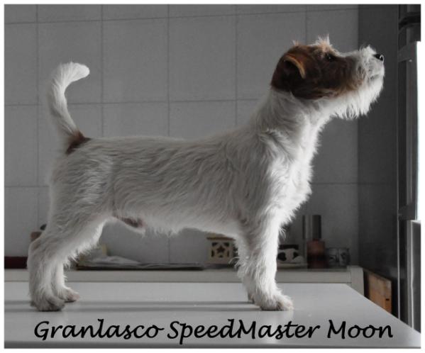 Granlasco Speedmaster Moon