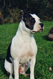 Tex 's Lalie