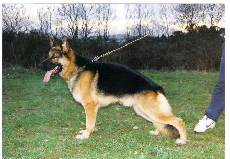 V(SPAIN) Tenno de Deschamps