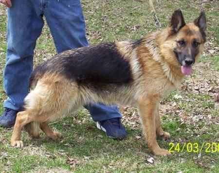 Inzy von Heilig Stelle