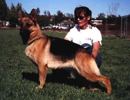 V (USA) Xitta vom Olympus