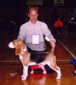 Allikelunds Herlige Sorro