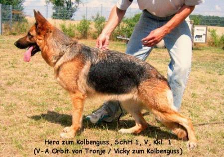 V Hera zum Kolbenguß