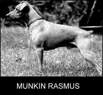 Munkin RASMUS