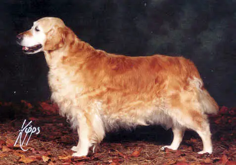 Millwater Letitia Of Chinnordale