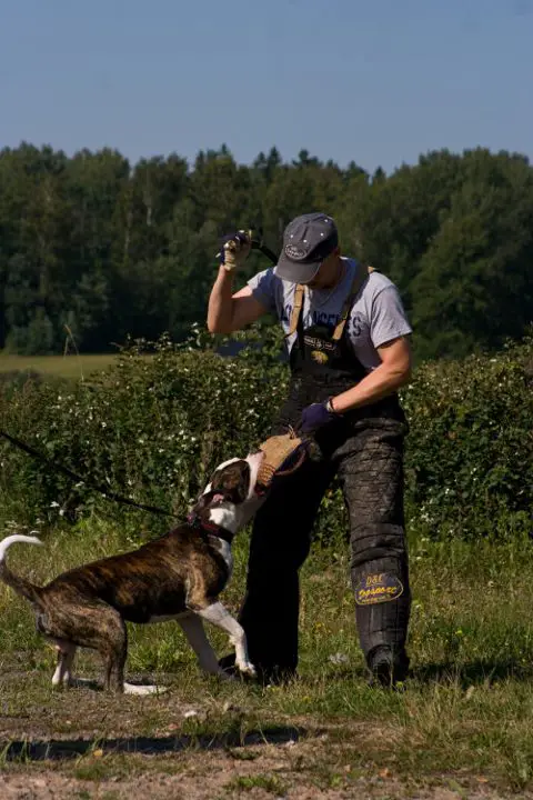 Snow white's Muddy Farmer