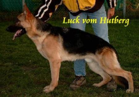 Luck vom Hutberg