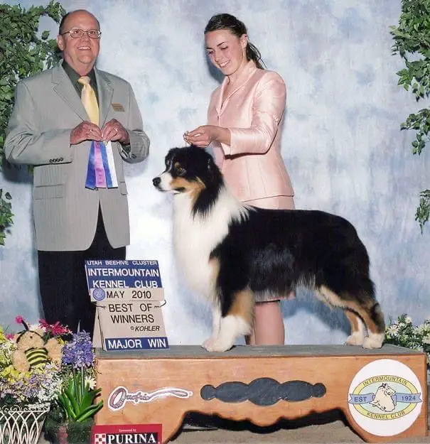 HOF GCH AKC/ASCA CH Premonition Of Prestige