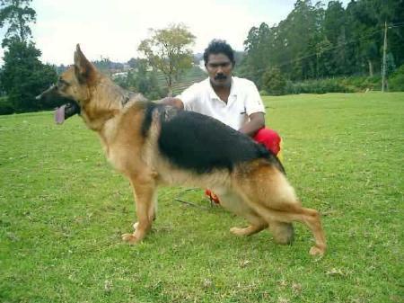 Quintin von der Urbecke