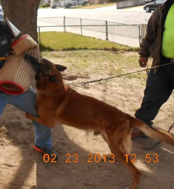 Vian des Contes d' Hoffmann