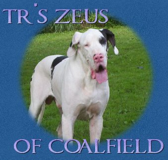 Tr's Zeus of Coalfield
