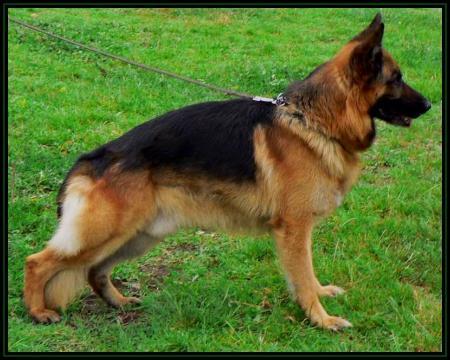 V2 (BG) Marko vom Isarstrand