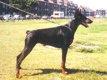 Xendy von Der Russheide