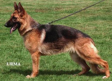 V Aica vom Tor zum Sauerland