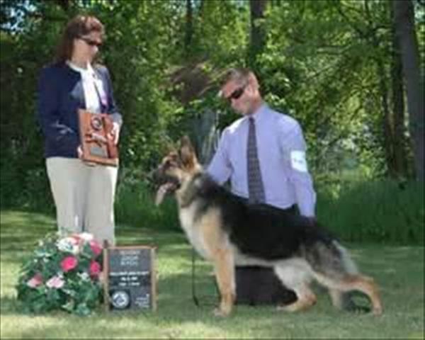 CAN CH. Willimar's Truth or Dare V Windfall