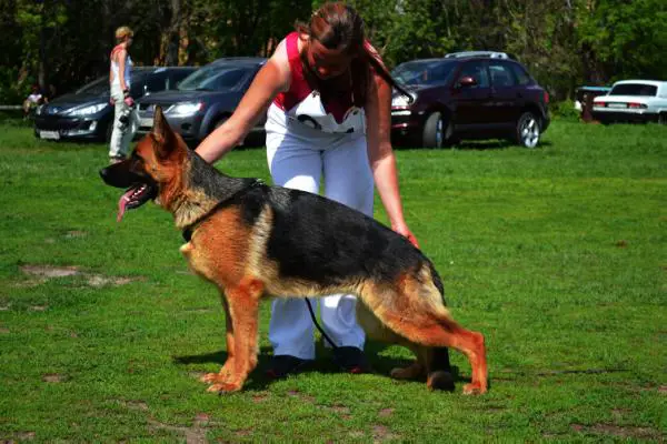 Zwezda Wostoka s Nizhnei Kamy