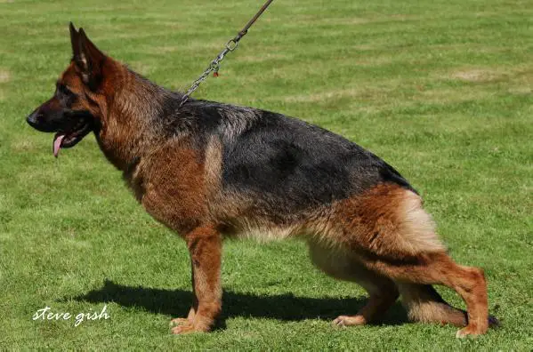 SG 15 JHKL BSZS 2013 Mena aus Agrigento