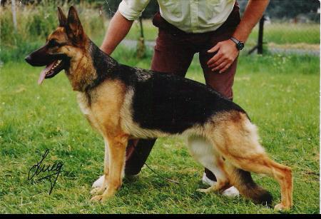 V Haste von der Kahler Heide