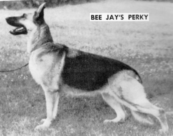Bee Jay's Perky