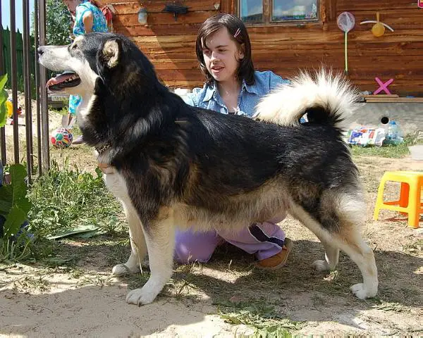 Grozovaya Tuchka s Losinogo Ostrova