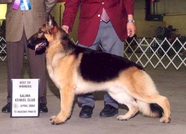 CH (US) Heidelberg's Fargo v Heidil