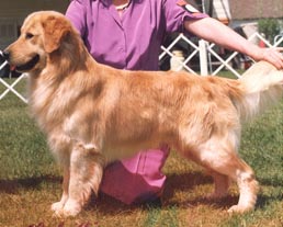 CH, AM/CDN CD Kyrie Artful Alliance