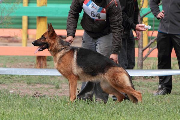Kalashnikhof Zlata