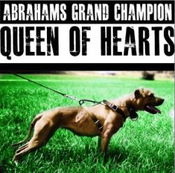 GRCh Abraham's Queen of Hearts