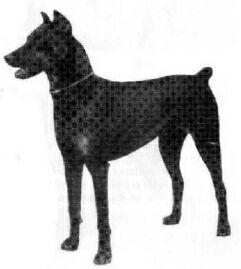 Roland von der Haide