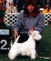 HCHHPJ,RPJ,7CAC, Karamynd I'm a Surprise