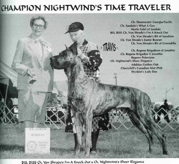 CH Nightwind's Time Traveler