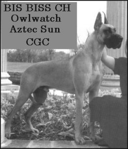 CH (US) Owlwatch Aztec Sun