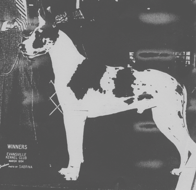 CH Jetero's Topper of Foster Farm