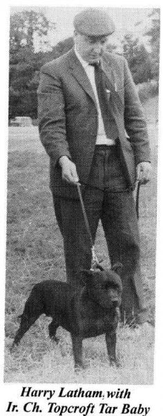 Ir Ch Topcroft Tar Baby