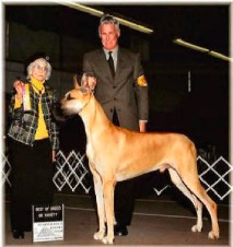 BOB CH Rojon's Von Scheer Hildydane '10'